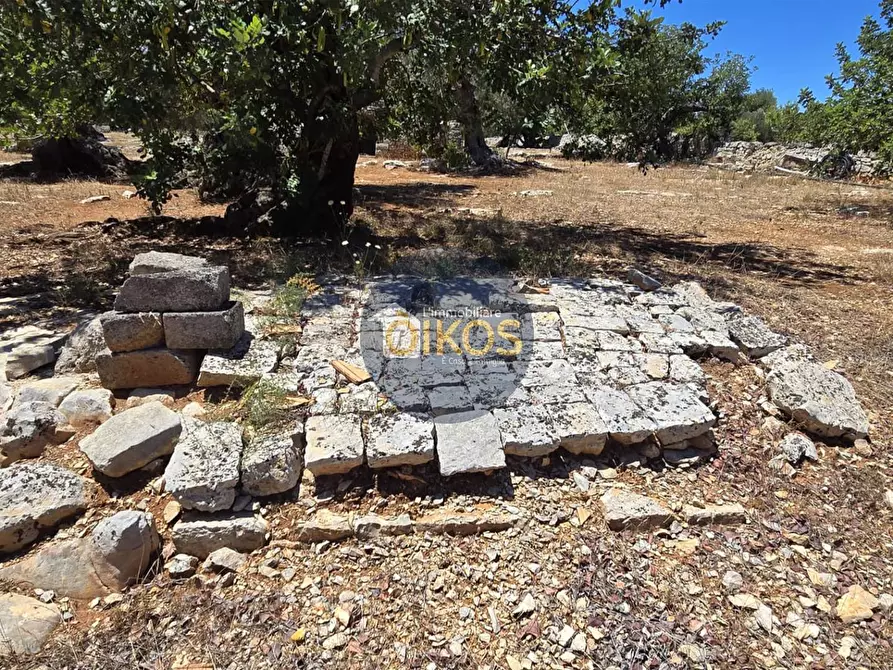 Immagine 16 di Terreno agricolo in vendita  in contrada conchia a Monopoli