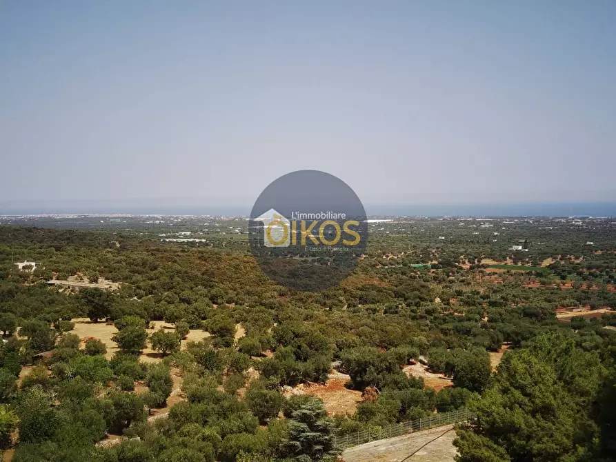 Immagine 1 di Terreno agricolo in vendita  in Contrada Torchiano a Monopoli