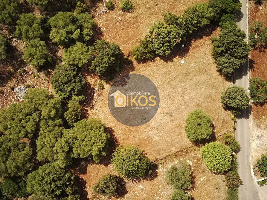 Immagine 6 di Terreno agricolo in vendita  in Contrada Torchiano a Monopoli