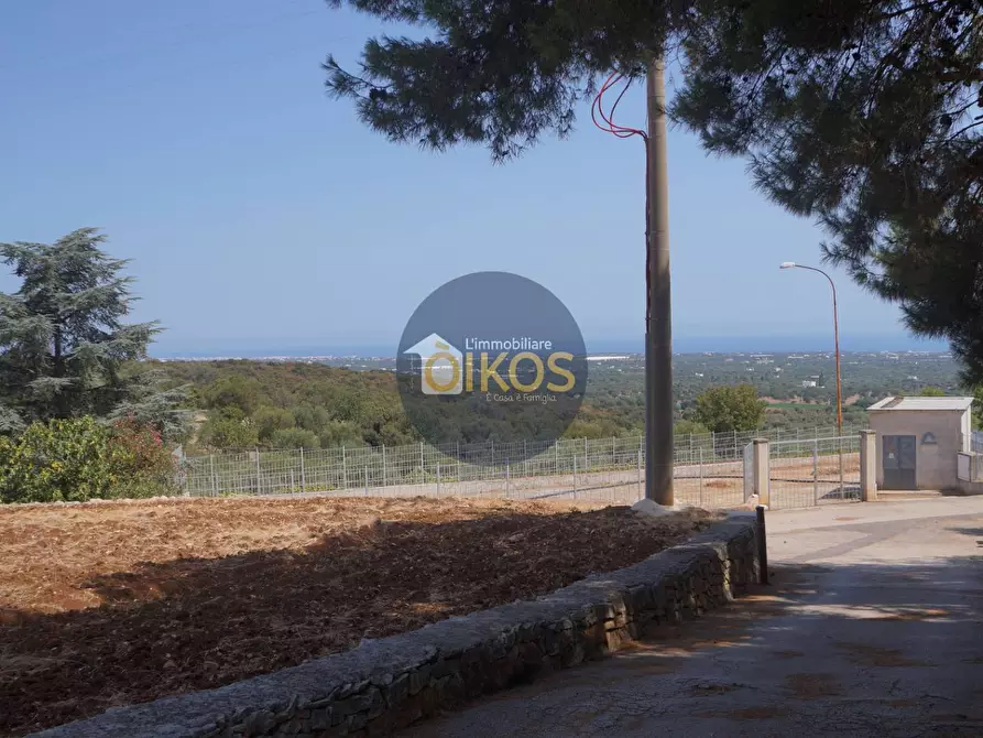 Immagine 9 di Terreno agricolo in vendita  in Contrada Torchiano a Monopoli