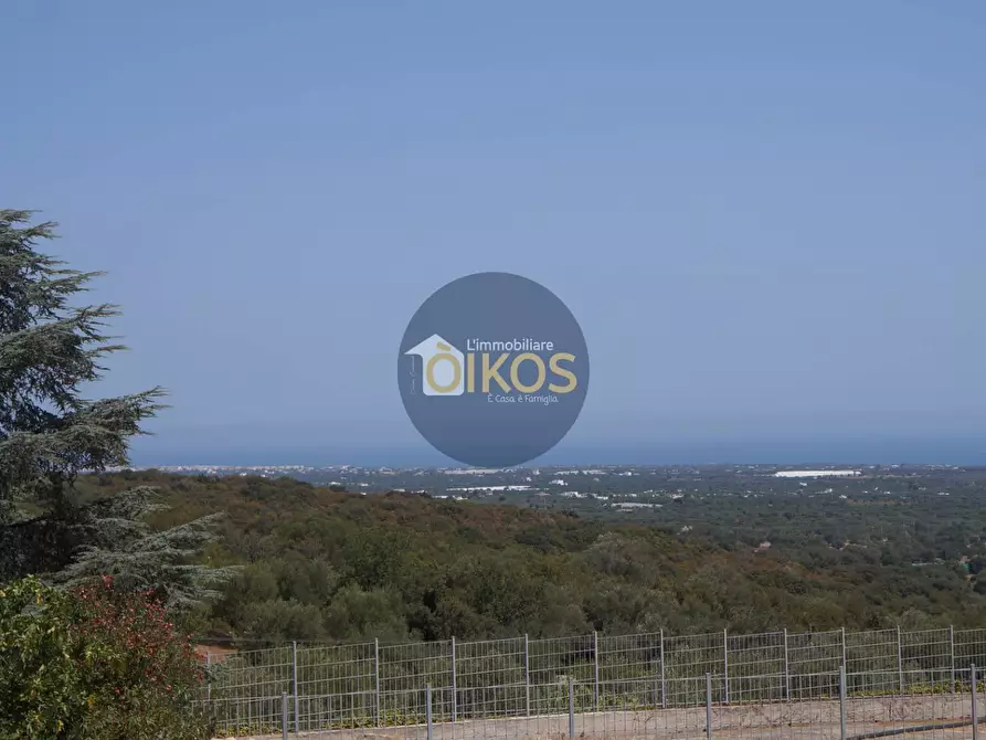 Immagine 10 di Terreno agricolo in vendita  in Contrada Torchiano a Monopoli