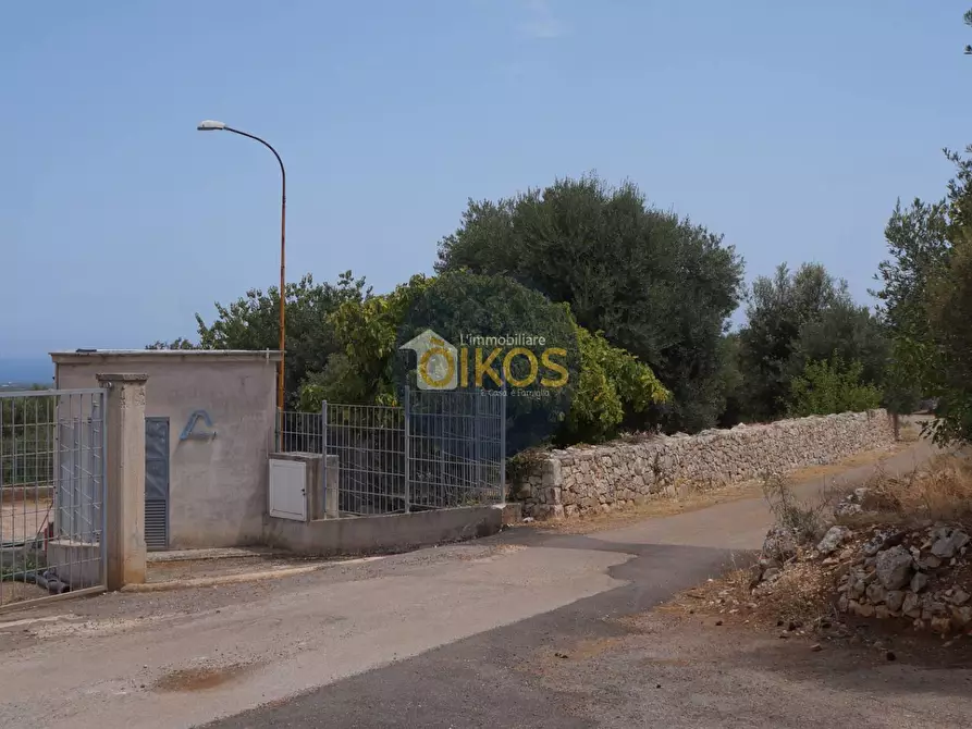 Immagine 12 di Terreno agricolo in vendita  in Contrada Torchiano a Monopoli