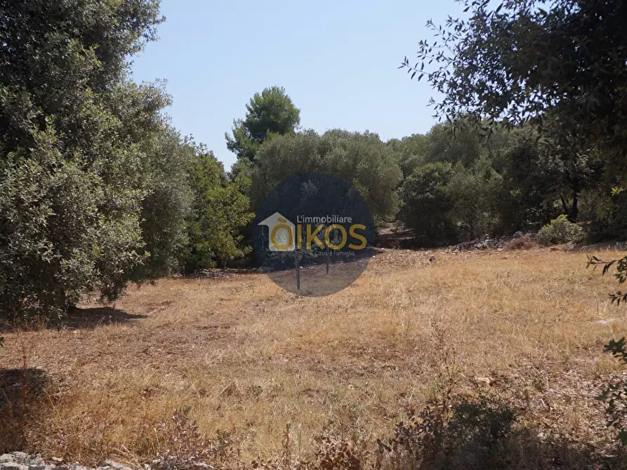 Immagine 17 di Terreno agricolo in vendita  in Contrada Torchiano a Monopoli