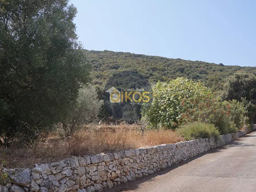 Immagine 19 di Terreno agricolo in vendita  in Contrada Torchiano a Monopoli
