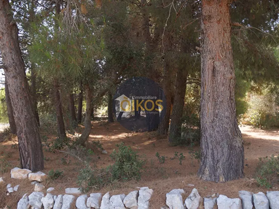 Immagine 21 di Terreno agricolo in vendita  in Contrada Torchiano a Monopoli