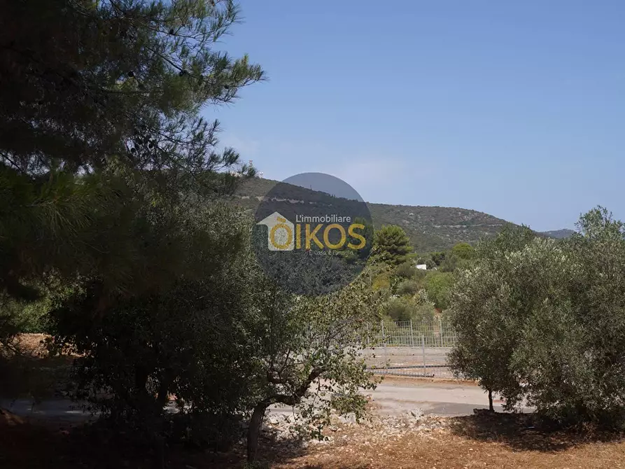 Immagine 23 di Terreno agricolo in vendita  in Contrada Torchiano a Monopoli