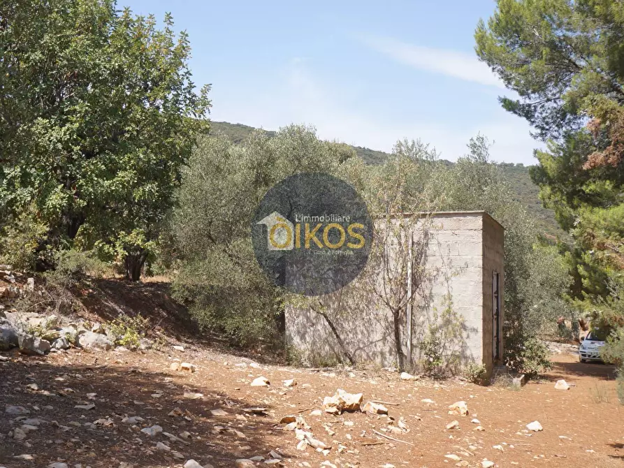 Immagine 26 di Terreno agricolo in vendita  in Contrada Torchiano a Monopoli