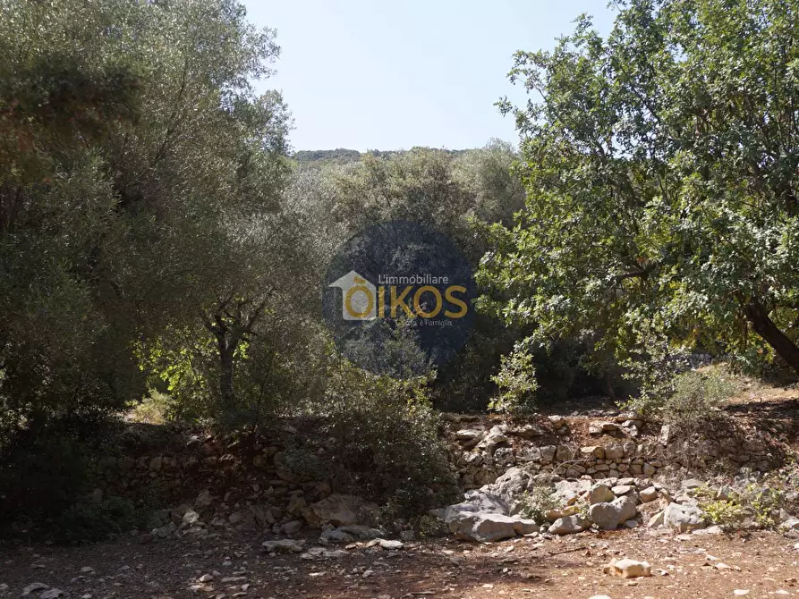 Immagine 27 di Terreno agricolo in vendita  in Contrada Torchiano a Monopoli