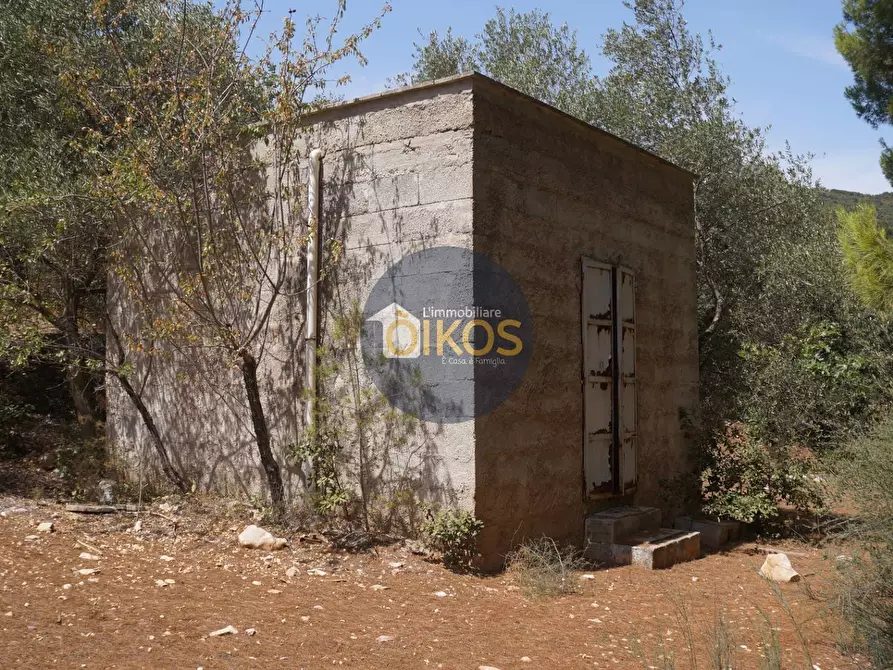 Immagine 28 di Terreno agricolo in vendita  in Contrada Torchiano a Monopoli