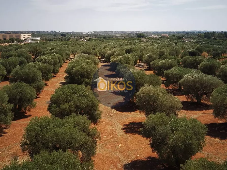 Immagine 1 di Terreno agricolo in vendita  in Via Castiglione a Conversano