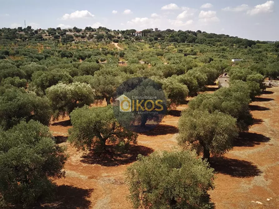 Immagine 3 di Terreno agricolo in vendita  in Via Castiglione a Conversano