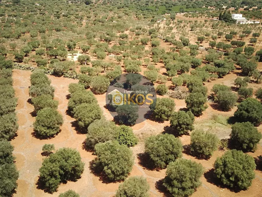 Immagine 4 di Terreno agricolo in vendita  in Via Castiglione a Conversano