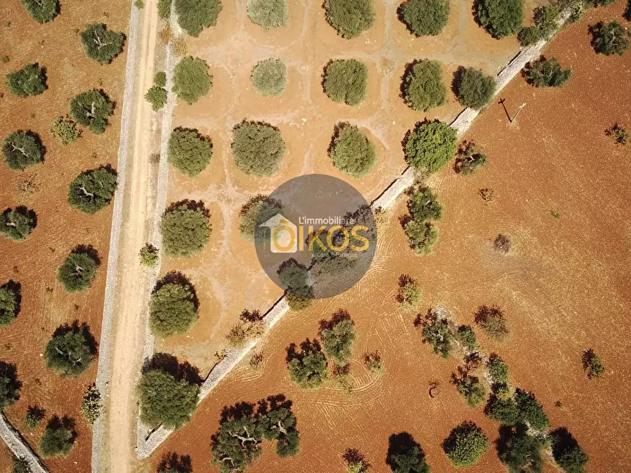 Immagine 6 di Terreno agricolo in vendita  in Via Castiglione a Conversano