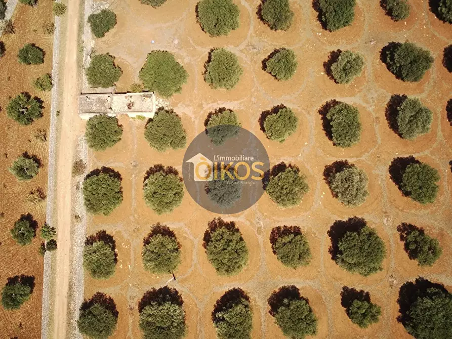 Immagine 7 di Terreno agricolo in vendita  in Via Castiglione a Conversano