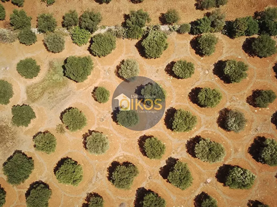 Immagine 8 di Terreno agricolo in vendita  in Via Castiglione a Conversano