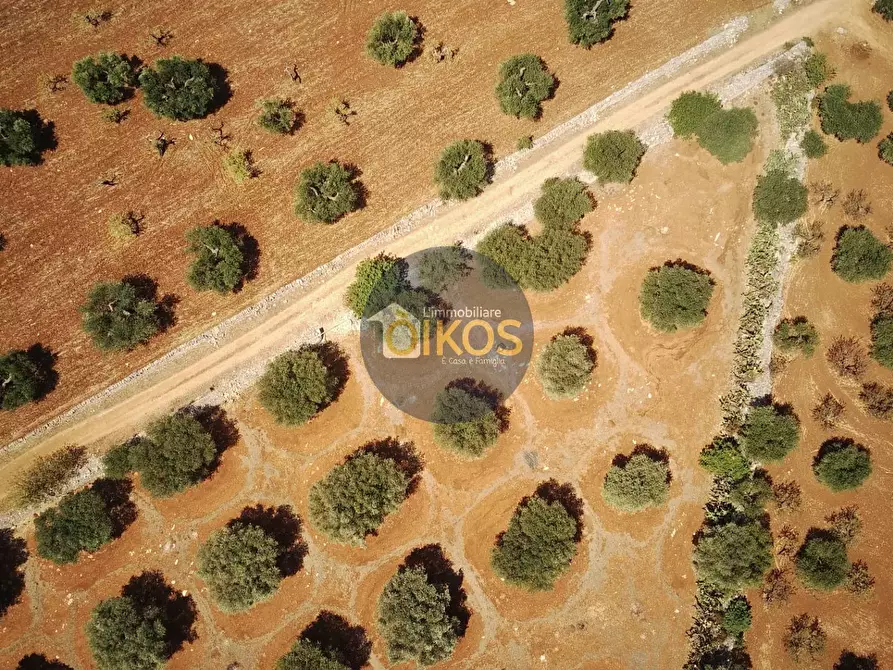 Immagine 9 di Terreno agricolo in vendita  in Via Castiglione a Conversano