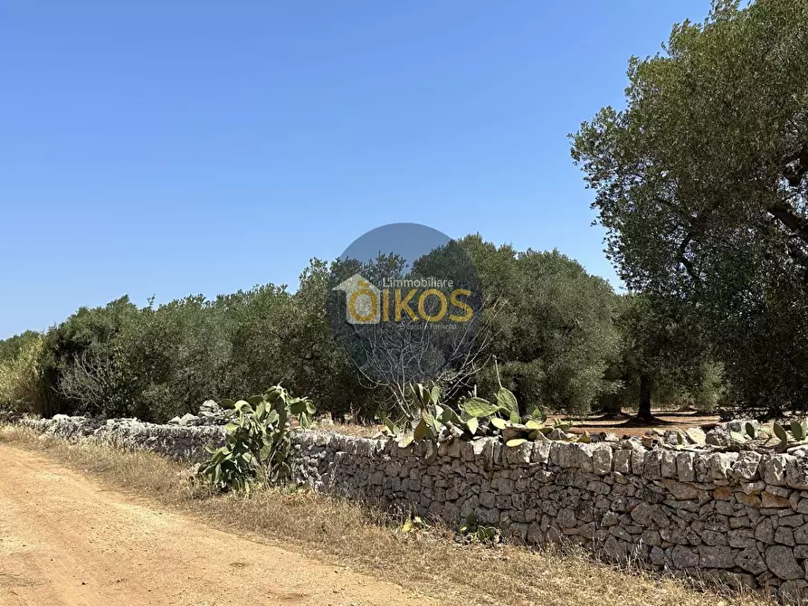 Immagine 11 di Terreno agricolo in vendita  in Via Castiglione a Conversano