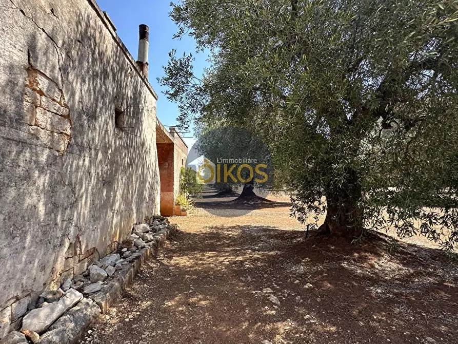 Immagine 13 di Terreno agricolo in vendita  in Via Castiglione a Conversano