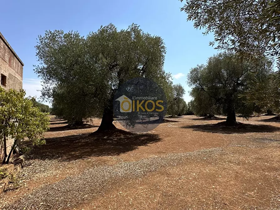 Immagine 14 di Terreno agricolo in vendita  in Via Castiglione a Conversano