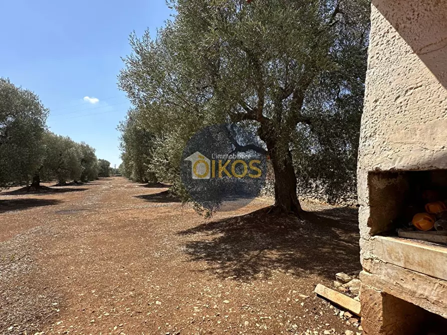 Immagine 15 di Terreno agricolo in vendita  in Via Castiglione a Conversano