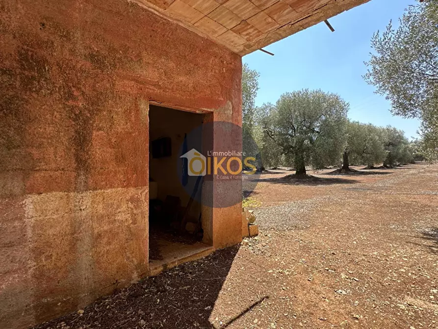 Immagine 16 di Terreno agricolo in vendita  in Via Castiglione a Conversano