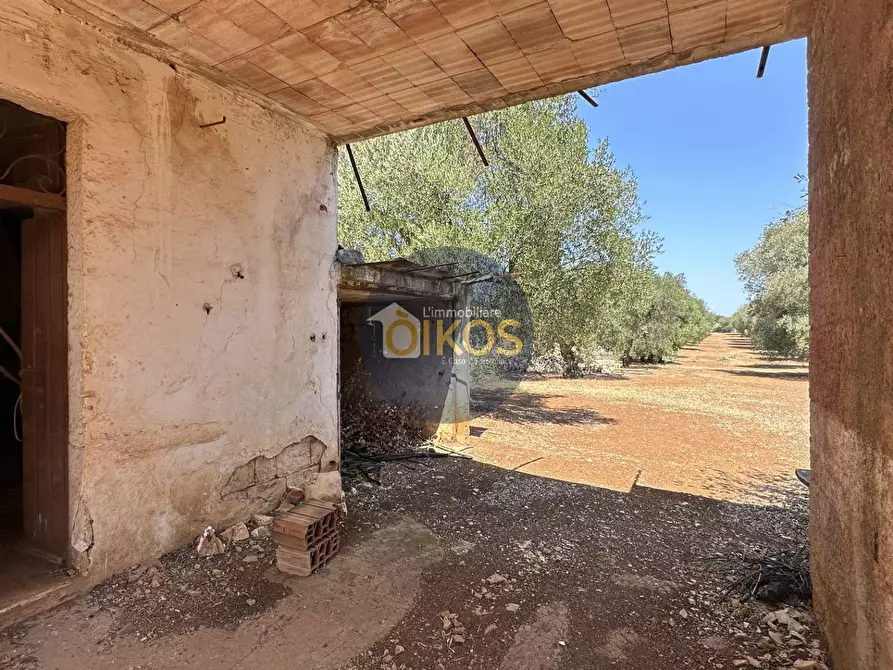 Immagine 17 di Terreno agricolo in vendita  in Via Castiglione a Conversano
