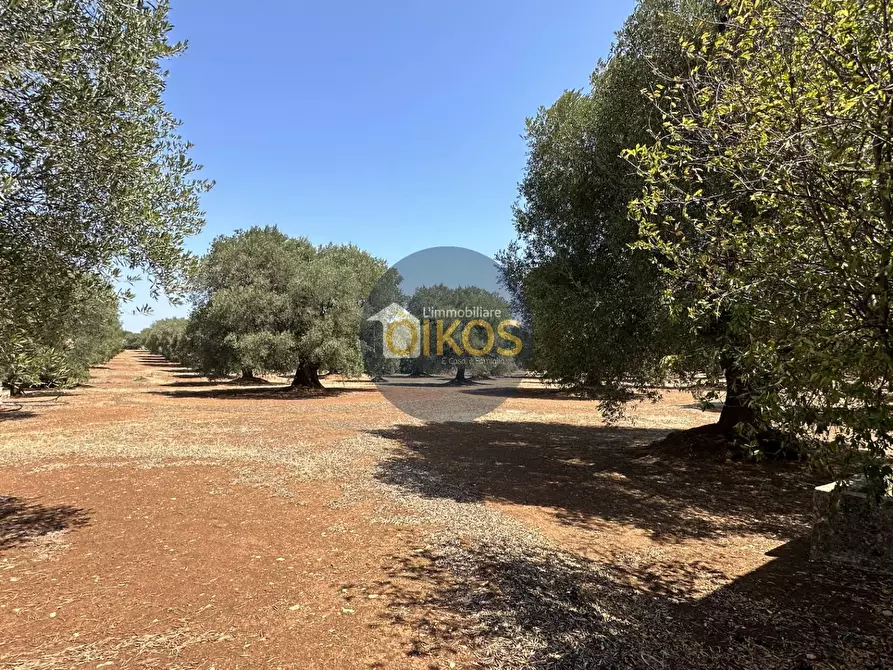 Immagine 20 di Terreno agricolo in vendita  in Via Castiglione a Conversano