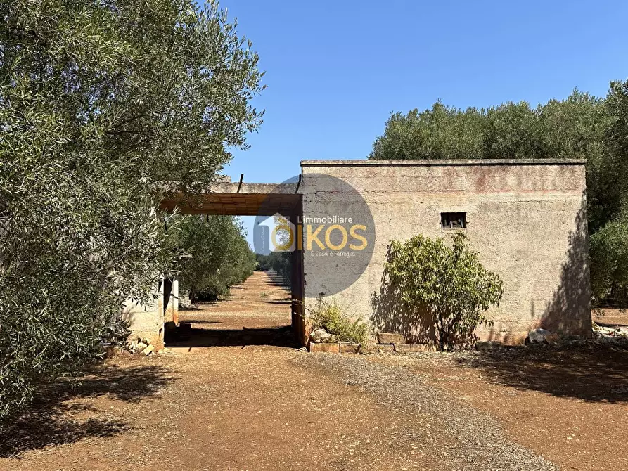 Immagine 22 di Terreno agricolo in vendita  in Via Castiglione a Conversano