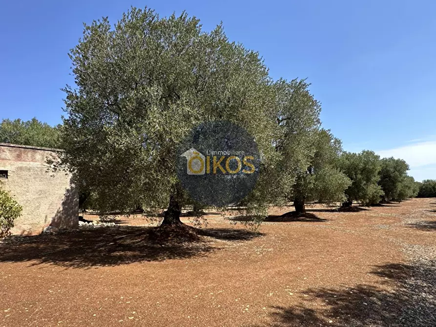 Immagine 23 di Terreno agricolo in vendita  in Via Castiglione a Conversano