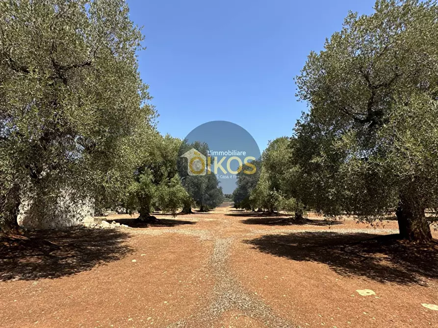 Immagine 24 di Terreno agricolo in vendita  in Via Castiglione a Conversano