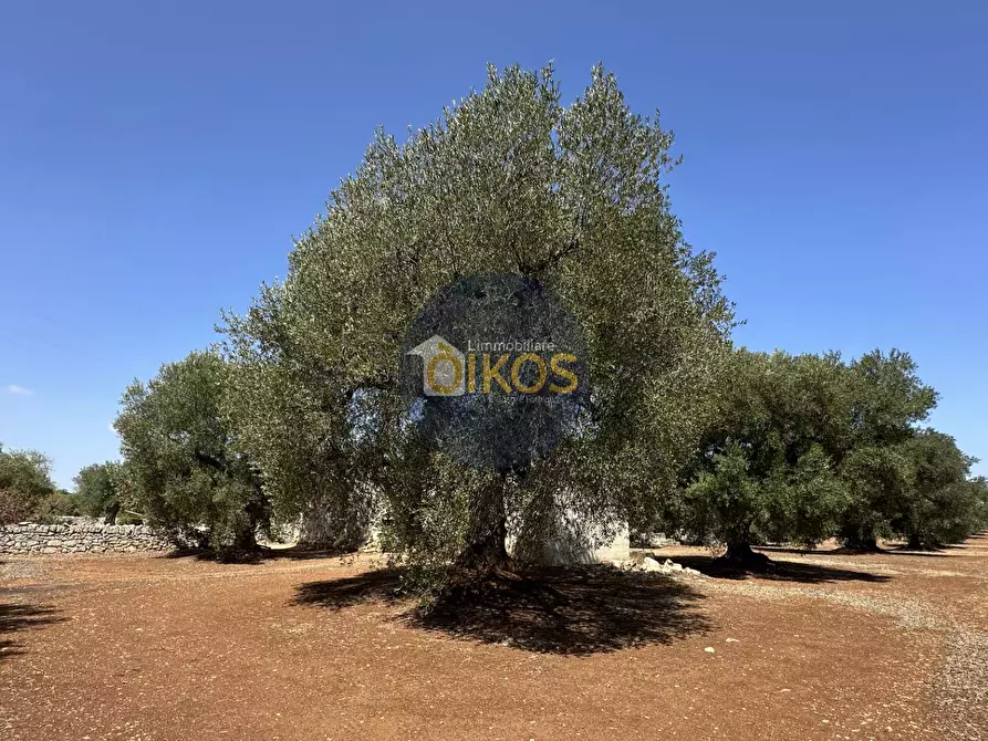 Immagine 25 di Terreno agricolo in vendita  in Via Castiglione a Conversano