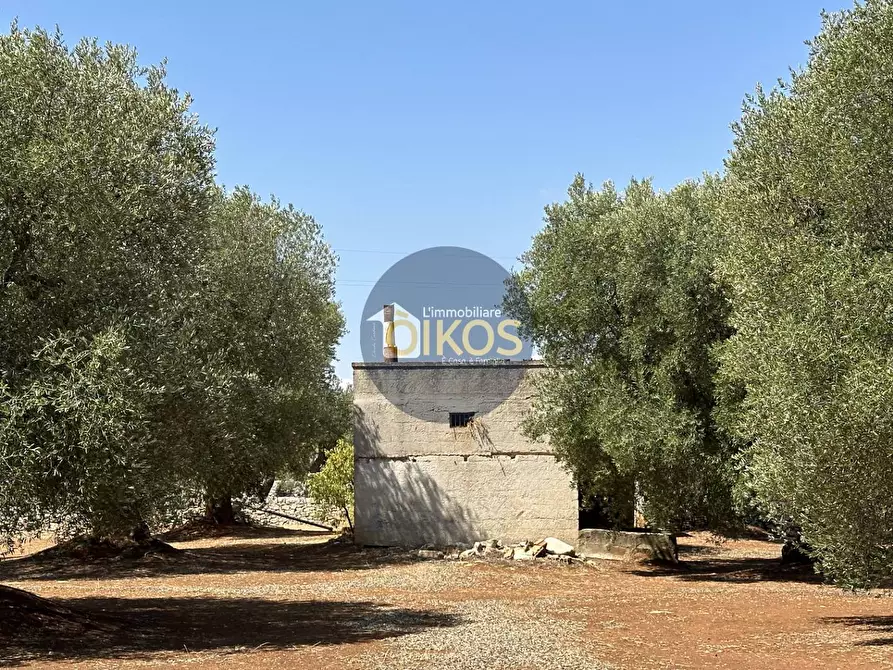 Immagine 26 di Terreno agricolo in vendita  in Via Castiglione a Conversano