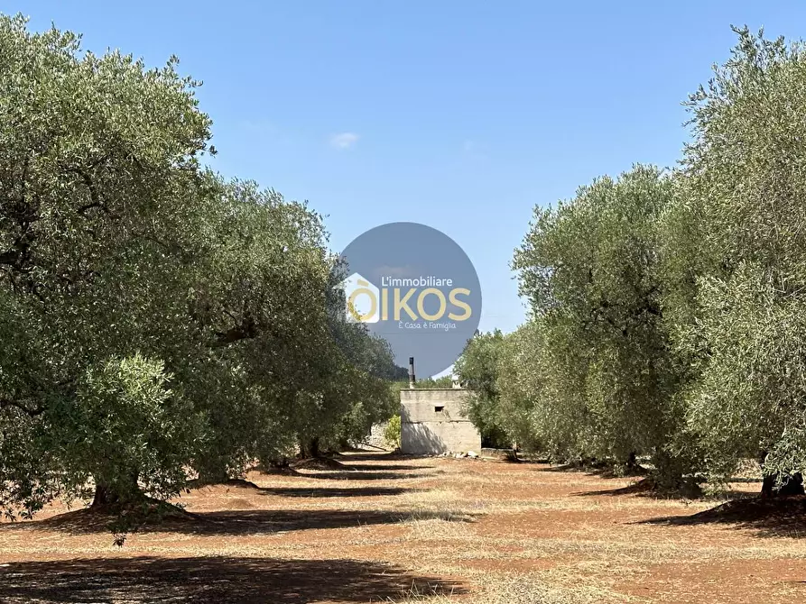 Immagine 28 di Terreno agricolo in vendita  in Via Castiglione a Conversano