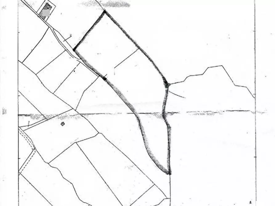 Immagine 18 di Terreno agricolo in vendita  in contrada conchia a Monopoli