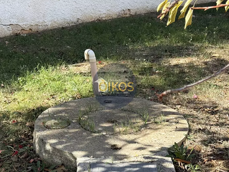 Immagine 24 di Villa in vendita  in Contrada Gorgofreddo a Monopoli