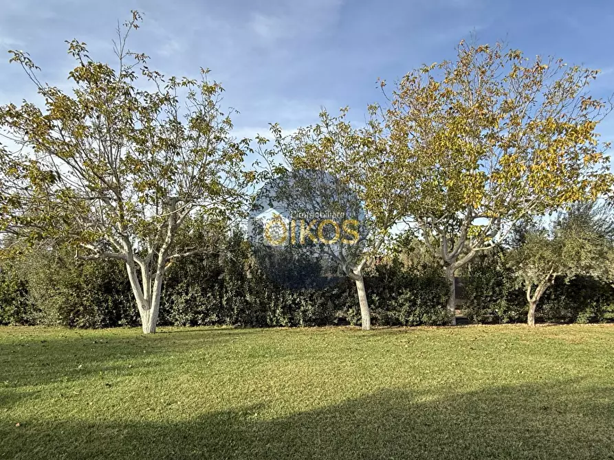 Immagine 15 di Villa in vendita  in Contrada Ciporrelli a Monopoli