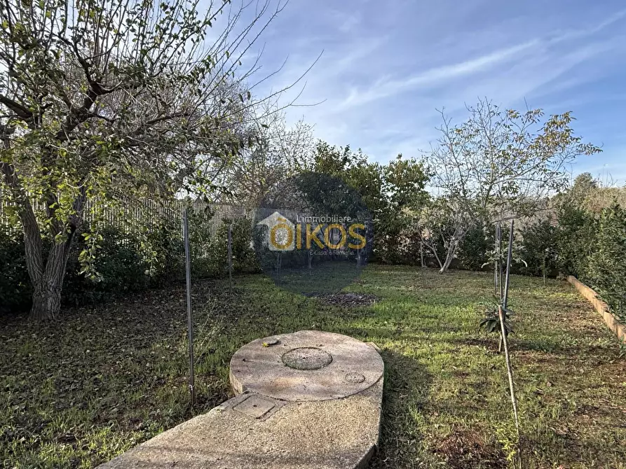 Immagine 20 di Villa in vendita  in Contrada Ciporrelli a Monopoli