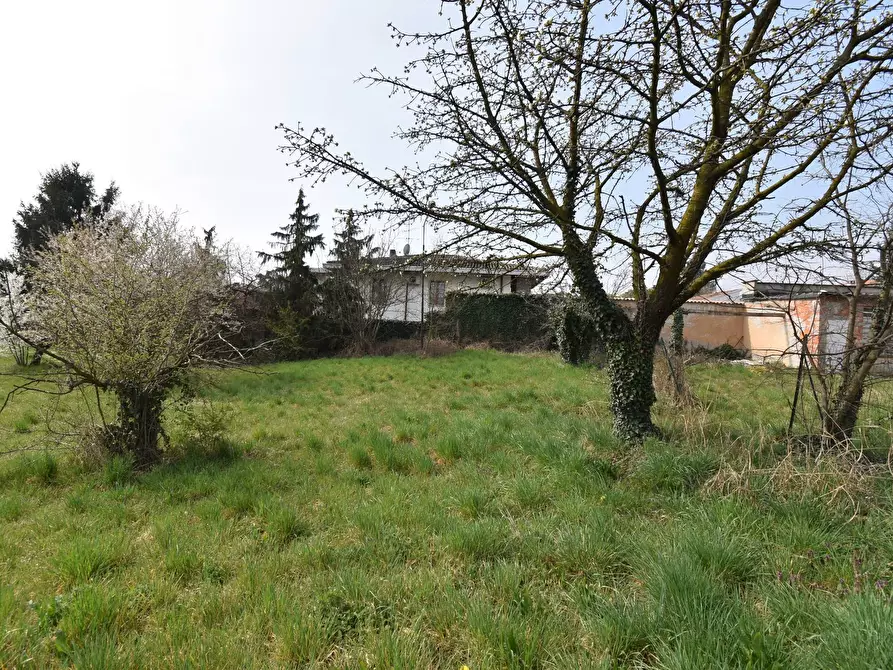 Immagine 1 di Terreno residenziale in vendita  in VIA SANT UMBERTO a Turbigo