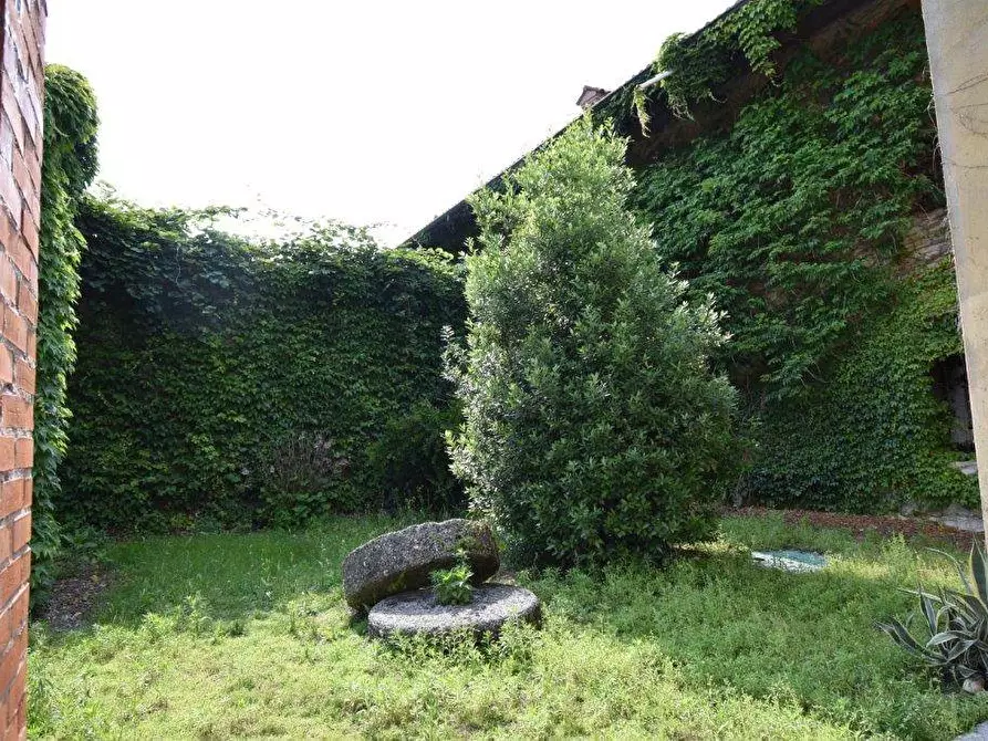 Immagine 9 di Azienda agricola in vendita  in TICINO a Cameri