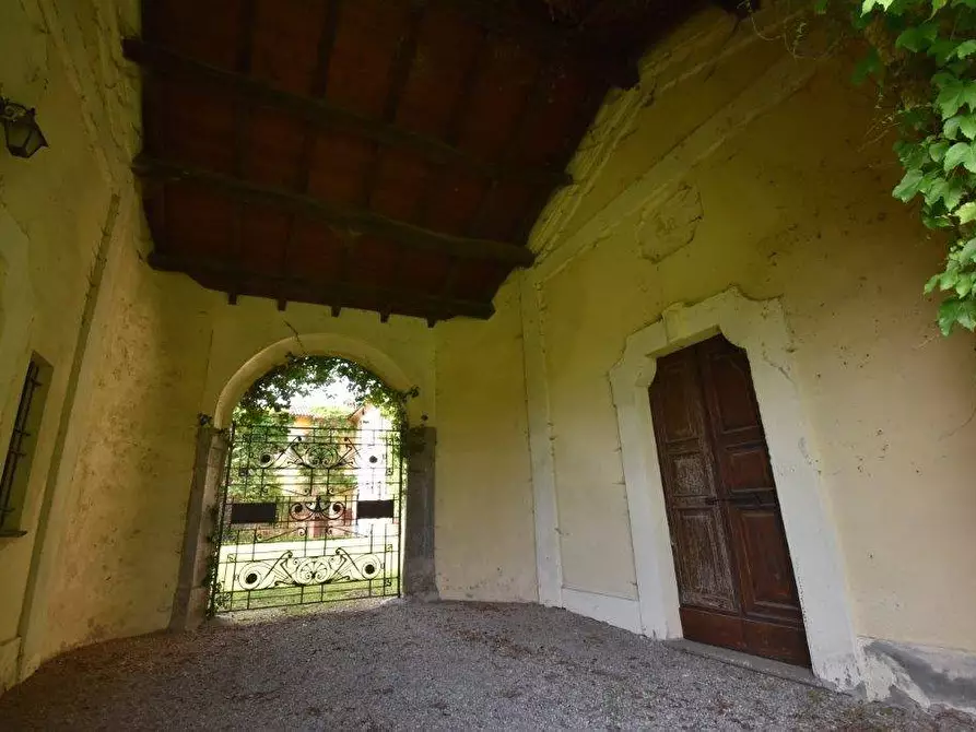 Immagine 28 di Azienda agricola in vendita  in TICINO a Cameri