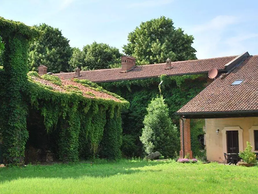Immagine 2 di Azienda agricola in vendita  in TICINO a Cameri