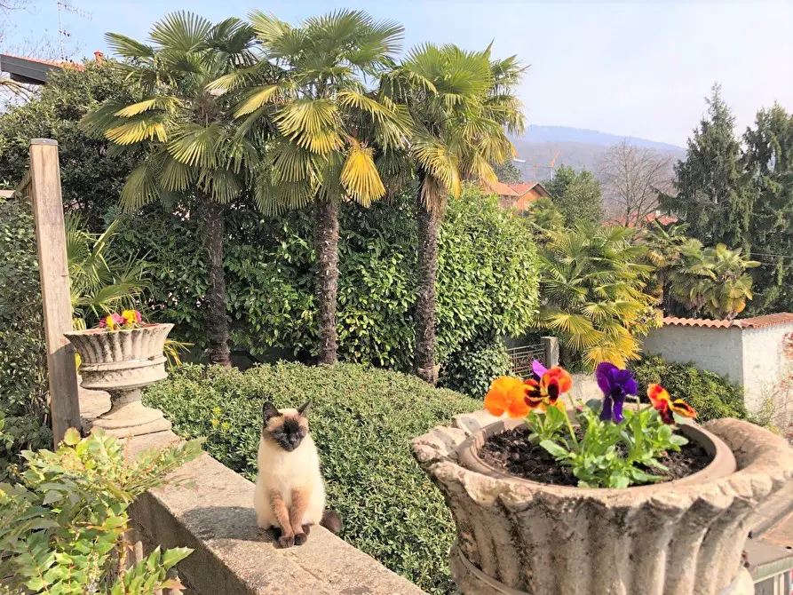 Immagine 21 di Villa in vendita  a Gavirate