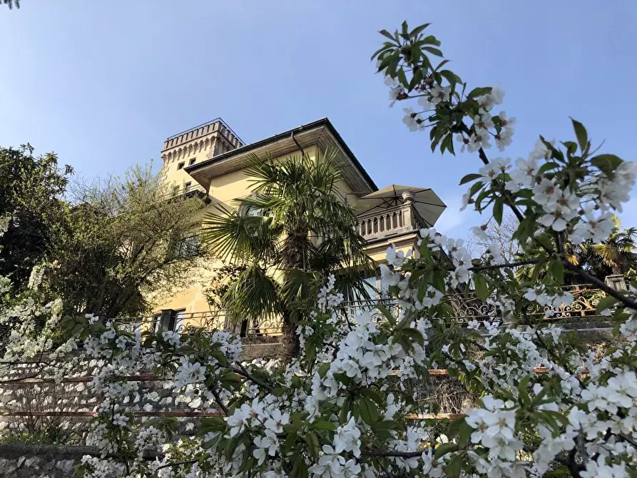 Immagine 28 di Villa in vendita  a Gavirate