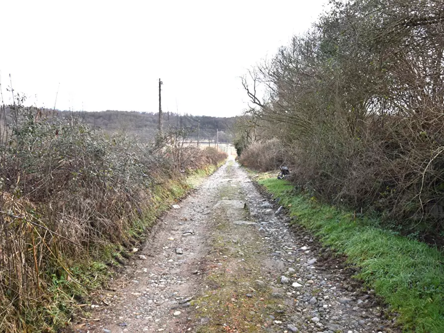 Immagine 2 di Azienda agricola in vendita  in Molino di Muggiano a Gattico-Veruno