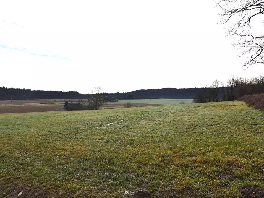 Immagine 13 di Azienda agricola in vendita  in Molino di Muggiano a Gattico-Veruno