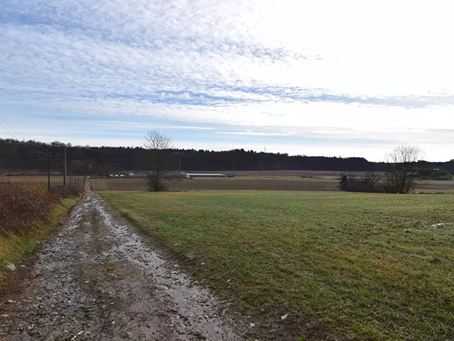 Immagine 1 di Azienda agricola in vendita  in Molino di Muggiano a Gattico-Veruno