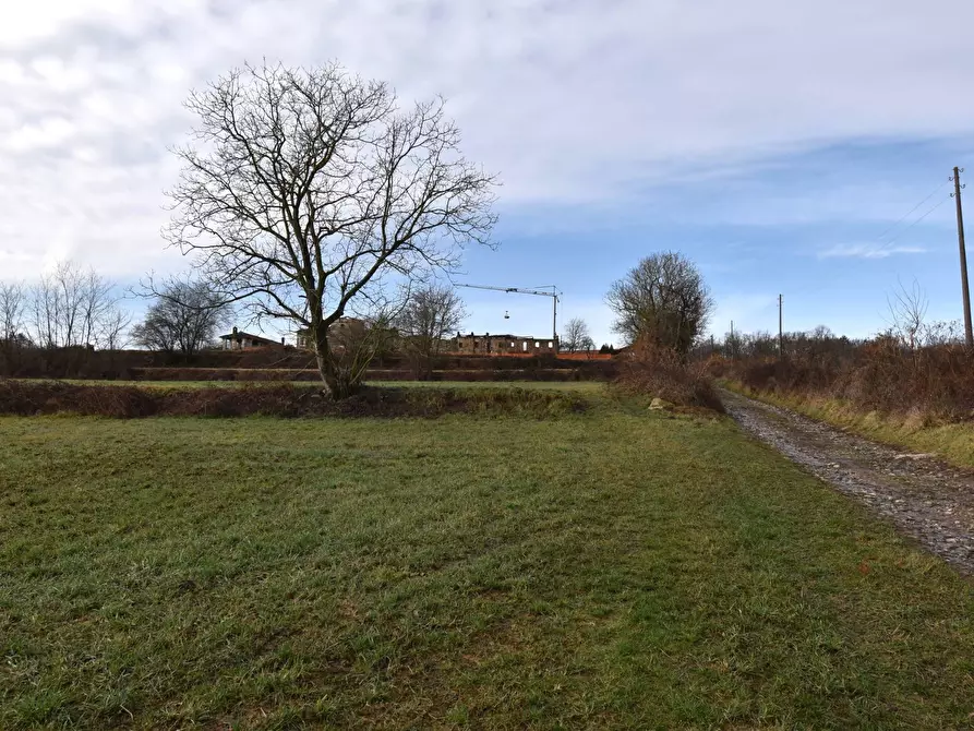Immagine 3 di Azienda agricola in vendita  in Molino di Muggiano a Gattico-Veruno