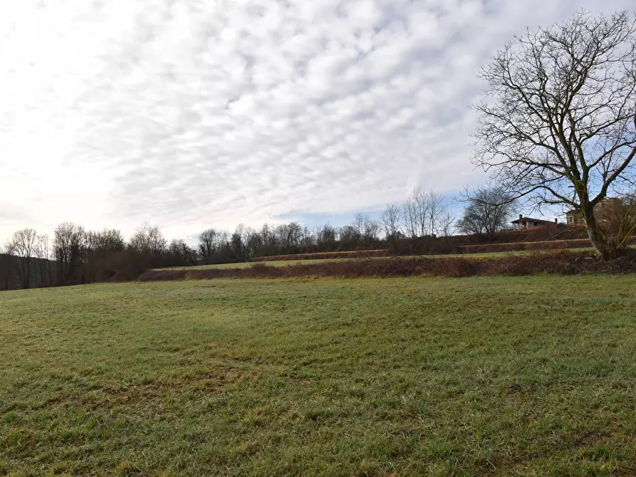 Immagine 4 di Azienda agricola in vendita  in Molino di Muggiano a Gattico-Veruno