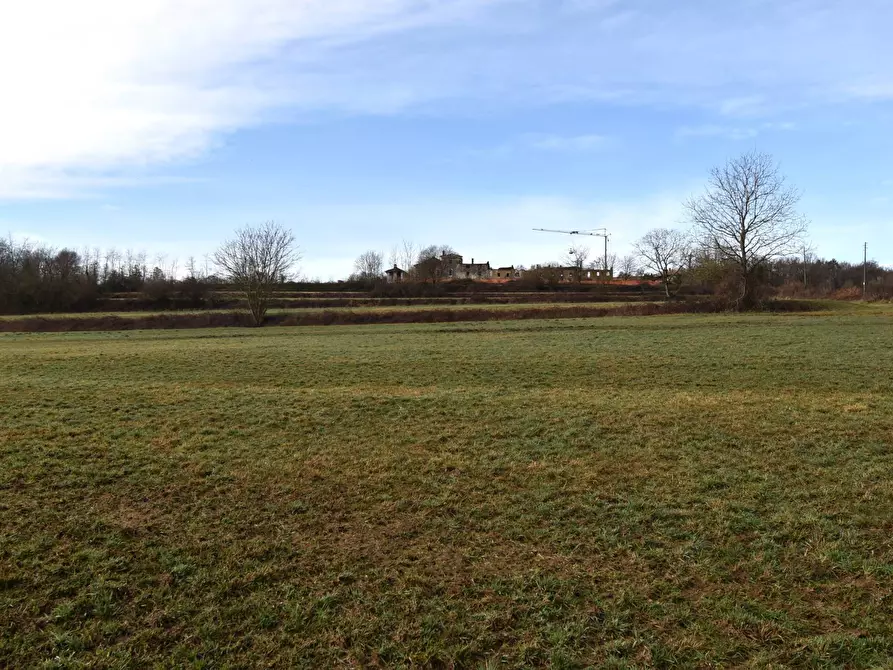 Immagine 6 di Azienda agricola in vendita  in Molino di Muggiano a Gattico-Veruno