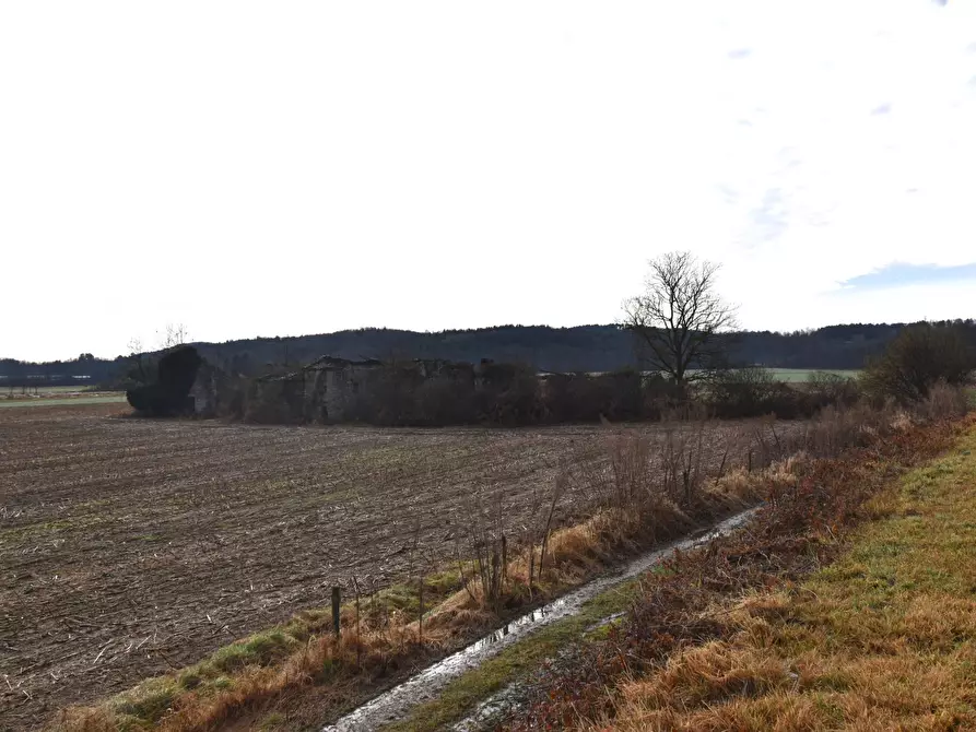 Immagine 8 di Azienda agricola in vendita  in Molino di Muggiano a Gattico-Veruno